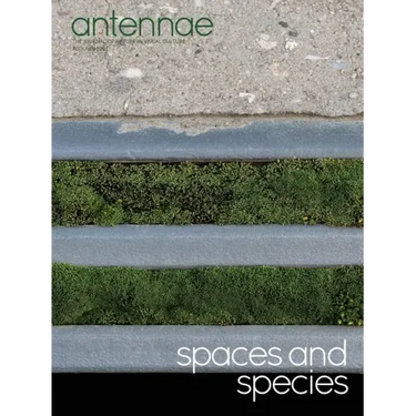 Antennae #56 Spaces and Species
