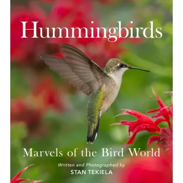 Hummingbirds: Marvels of the Bird World