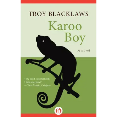 Karoo Boy