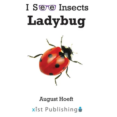 Ladybug