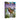 Children's Encyclopedia of Dinosaurs