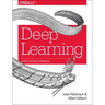 Deep Learning: A Practitioner's Approach