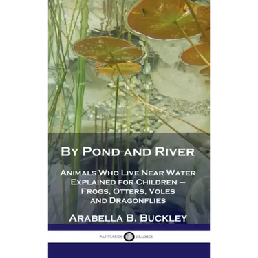 By Pond and River: Animals Who Live Near Water Explained for Children - Frogs, Otters, Voles and Dragonflies