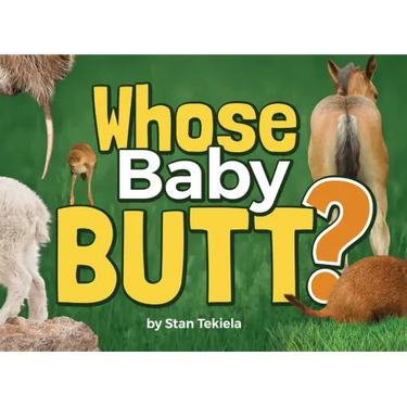 Whose Baby Butt?