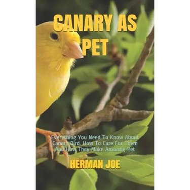 Canary as Pet: Everything You Need To Know About Canary Bird. How To Care For Them And How They Make Amazing Pet