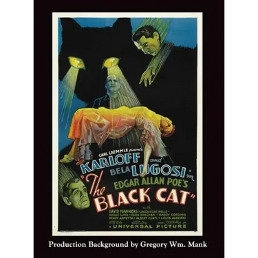 The Black Cat (hardback)