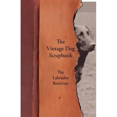The Vintage Dog Scrapbook - The Labrador Retriever