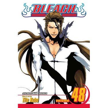 Bleach, Vol. 48: God Is Dead