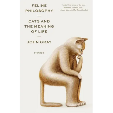 Feline Philosophy: Cats and the Meaning of Life