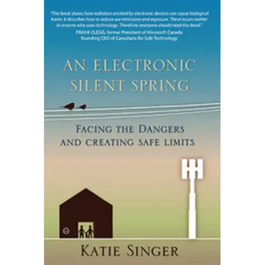 An Electronic Silent Spring: Facing the Dangers and Creating Safe Limits