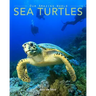 Sea Turtles: Amazing Pictures & Fun Facts on Animals in Nature
