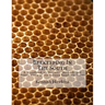 Beekeeping In The South: A Handbook on Seasons, Methods and Honey Flora of the Fifteen Southern States