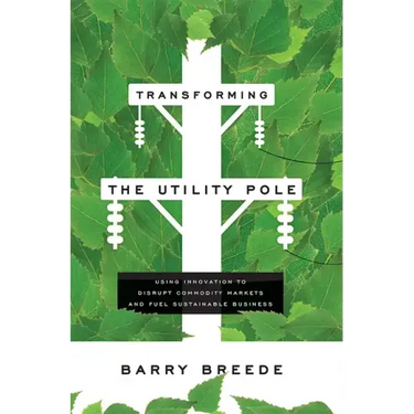 Transforming the Utility Pole: Using Innovation to Disrupt Commodity Markets and Fuel Sustainable Business