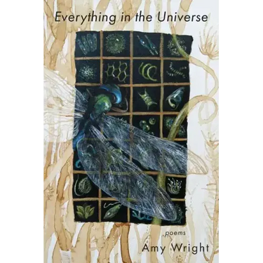 Everything in the Universe