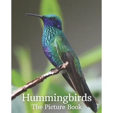 Hummingbirds: The Picture Book of Hummingbirds Great Gift for Parkinson's Alzheimer's & Seniors with Dementia.