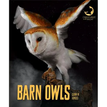 Barn Owls