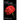 Roses of Crimson