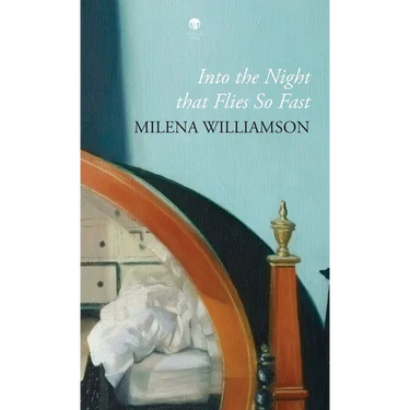 Into the Night that Flies So Fast