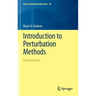 Introduction to Perturbation Methods