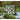 Salmon, Cedar, Rock & Rain: Washington's Olympic Peninsula