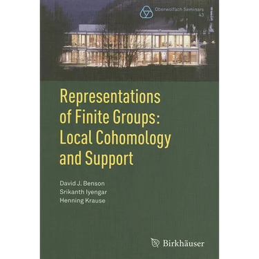 Representations of Finite Groups: Local Cohomology and Support