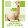 Why Do Camels Have Humps?