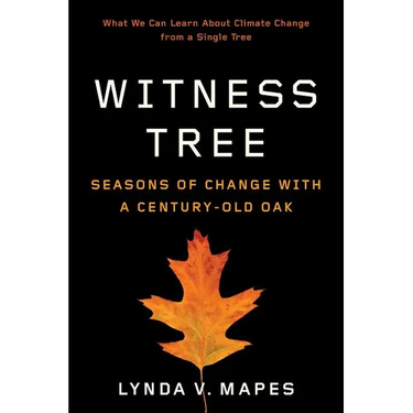 Witness Tree: Seasons of Change with a Century-Old Oak