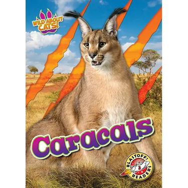 Caracals