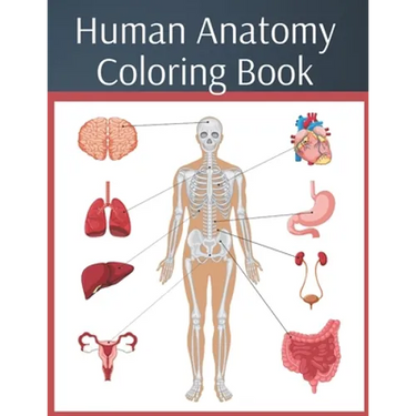 Human Anatomy Coloring Book: colouring workbook medical physiology study guide