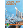 Service Level Manager: Careers in IT service management
