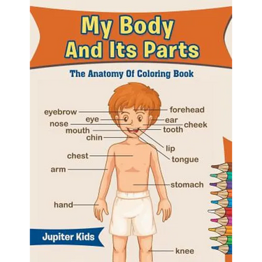 My Body And Its Parts: The Anatomy Of Coloring Book