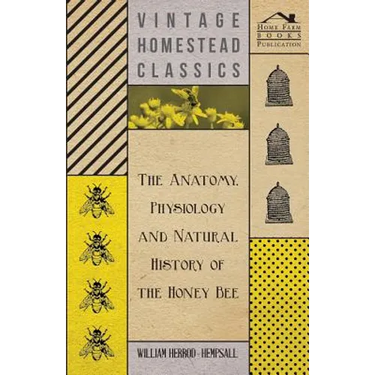 The Anatomy, Physiology and Natural History of the Honey Bee