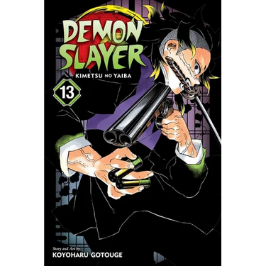 Demon Slayer: Kimetsu No Yaiba, Vol. 13: Transitions