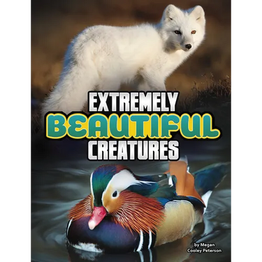 Extremely Beautiful Creatures