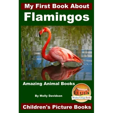 My First Book About Flamingos - Amazing Animal Books - Children's Picture Books