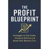 The Profit Blueprint: Strategies for Reducing Costs, Enhancing Efficiency, and Boosting Your Bottom Line