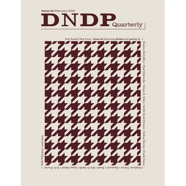 DNDP Quarterly: Issue 01