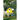 To the Birdhouse
