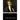 The Possessed