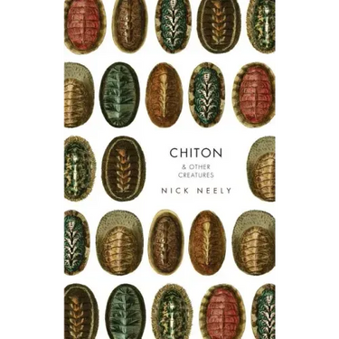Chiton & Other Creatures