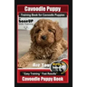 Cavoodle Puppy Training Book for Cavoodle Puppies By BoneUP DOG Training, Are You Ready to Bone Up? Easy Training * Fast Results, Cavoodle Puppy Book
