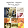 Honeybee Anatomy Brought to Life