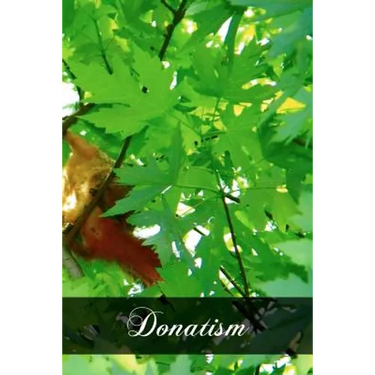 Donatism