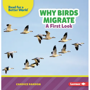 Why Birds Migrate: A First Look