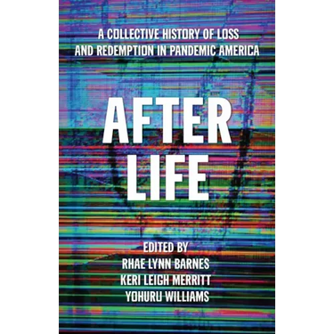 After Life: A Collective History of Loss and Redemption in Pandemic America