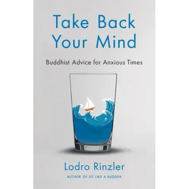Take Back Your Mind: Buddhist Advice for Anxious Times: Buddhist Advice for Anxious Times