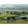 Yellowstone: A Journey Through America's Wild Heart