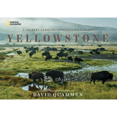 Yellowstone: A Journey Through America's Wild Heart