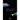 Moon Wrasse