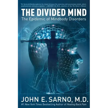 The Divided Mind: The Epidemic of Mindbody Disorders